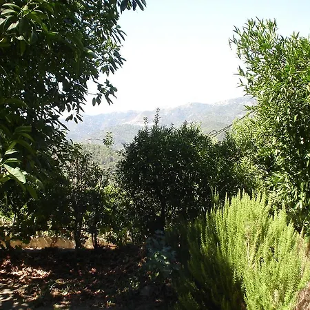 Finca Mazuqueto